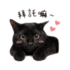 阿金可愛日常