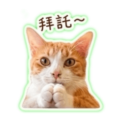 肥腿日常