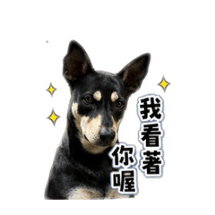 我是可愛的財妹妹