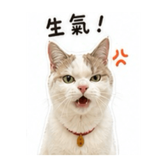 嚕寶寶❷