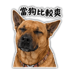郭俊財