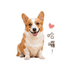 米咕&比諾