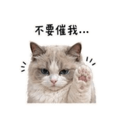 咪不想上班