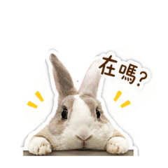 小小小小小咪嚕