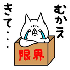 zenryoku neko Post-vacation blue