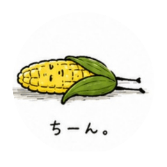 momo_20260429201353