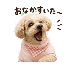 ezoten_20260429200046