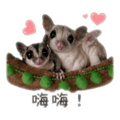 蜜寶日常～