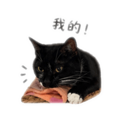 波吉球