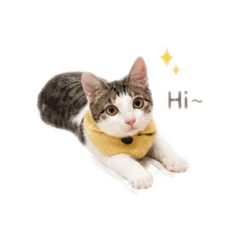 啊朵朵日常篇