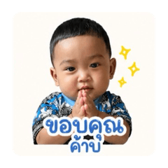 Spp_20260428014051