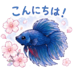 ami_20260430020136