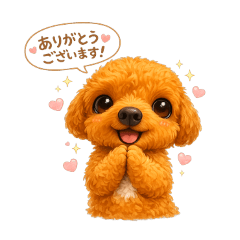 toy poodle kawaiiyo