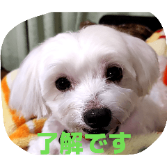 naoroy_20260430071912