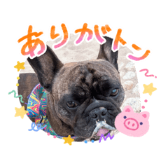 Nunmaru_20260430072609