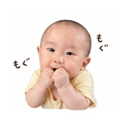 marun_20260429202829