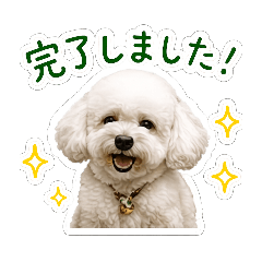 masaki_20260430070302