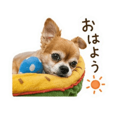 no fuku no life 202604