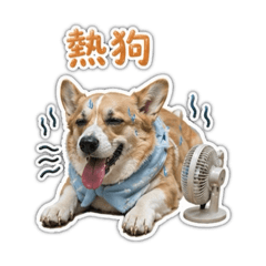 浩南的日常生活 ：）
