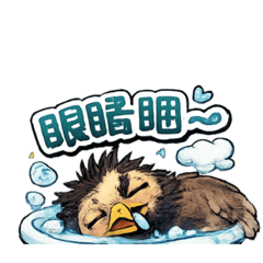 沒毛的八哥日常