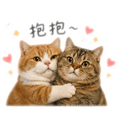 Di&Bo