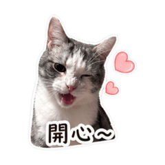 我是柚ㄗ2