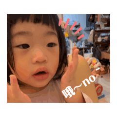 動動瑤二代目