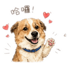 咘咘 恰恰