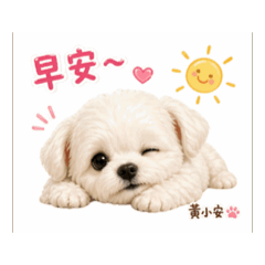 可愛的小安安動態貼圖