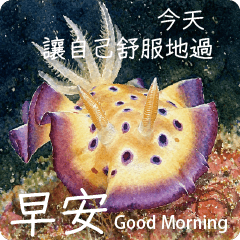 深海輕聲問候(大圖)