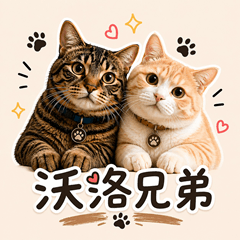 沃洛兄弟很有事