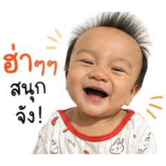 Newton_20260429124350