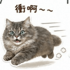 MOMOCat Daily life2