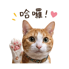 Guai the Cat