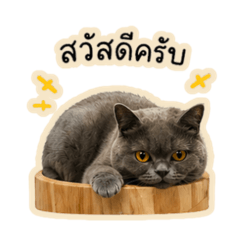 Yeojasan