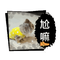 寶寶生活記1