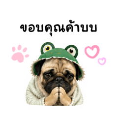 The Pug Is Done
