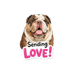 Truckie the bulldog