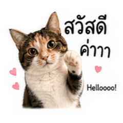 Simsim Simba vol. 1