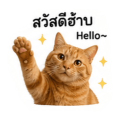 Harry Orange Vol. 1