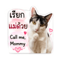 NengNoi vol. 1