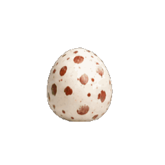 神秘昆蟲彩蛋