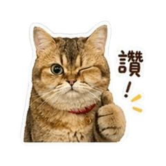 麻吉本吉