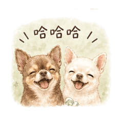小子&探吉