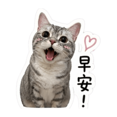 可愛的小珊迪