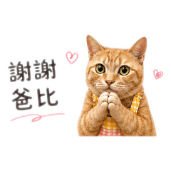 大橘 為重