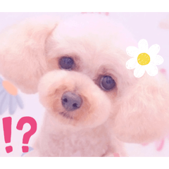 Mochioba_20260430222004