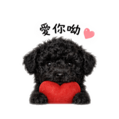 王吾吉