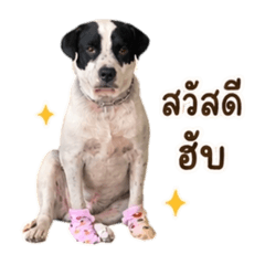 Papawarin_20260428020055