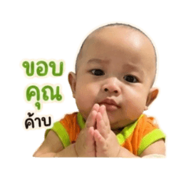 Papawarin_20260428020556